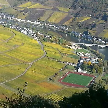 Ferienwohnung Goldschmidt * Zell an der Mosel